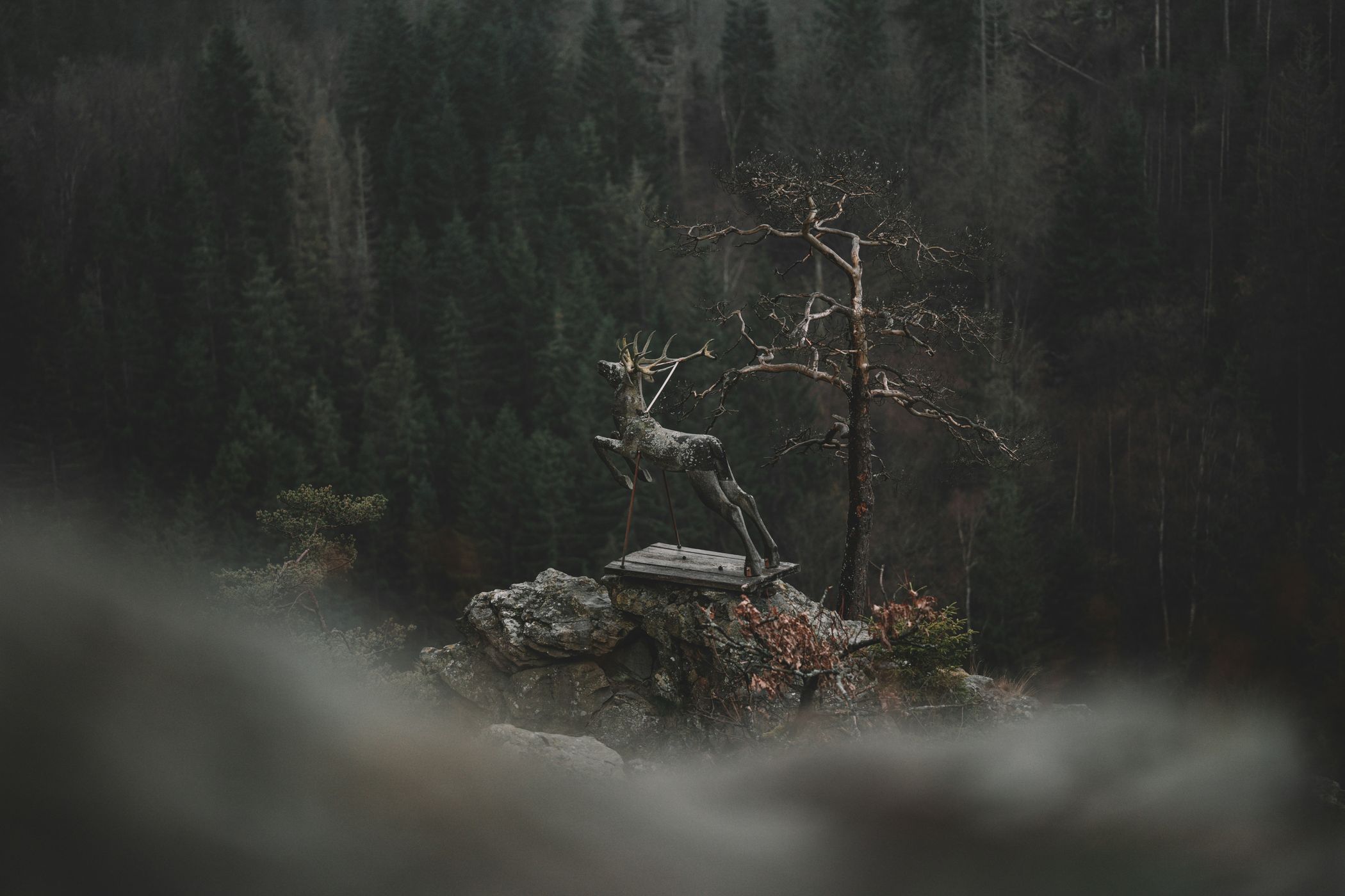 Hirschsprung in the Höllental Gorge, Germany