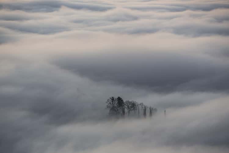 Kahlenberg Viewpoint