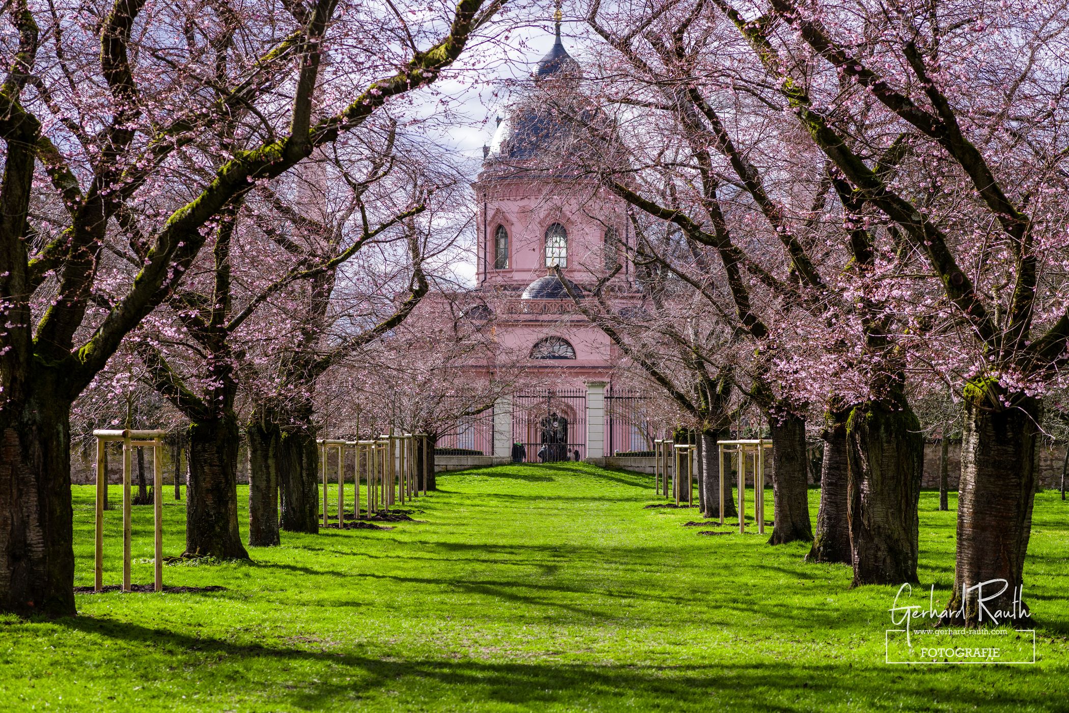 Kirschblüte Schwetzingen, Germany