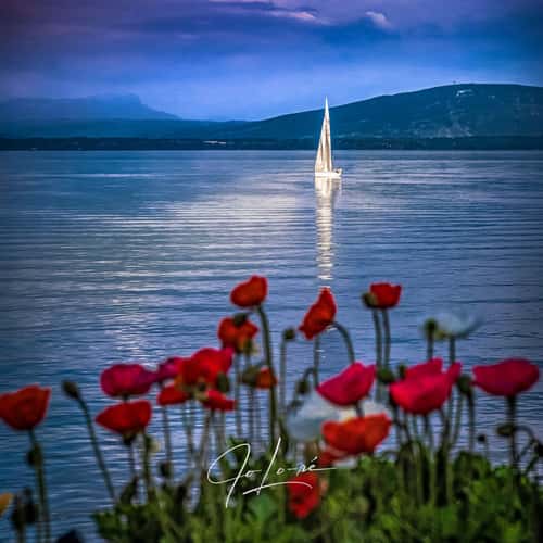 Leman lac, Genava Lac, Nyon