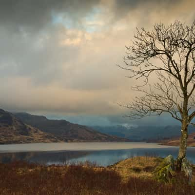 East end of Loch Arklet, United Kingdom