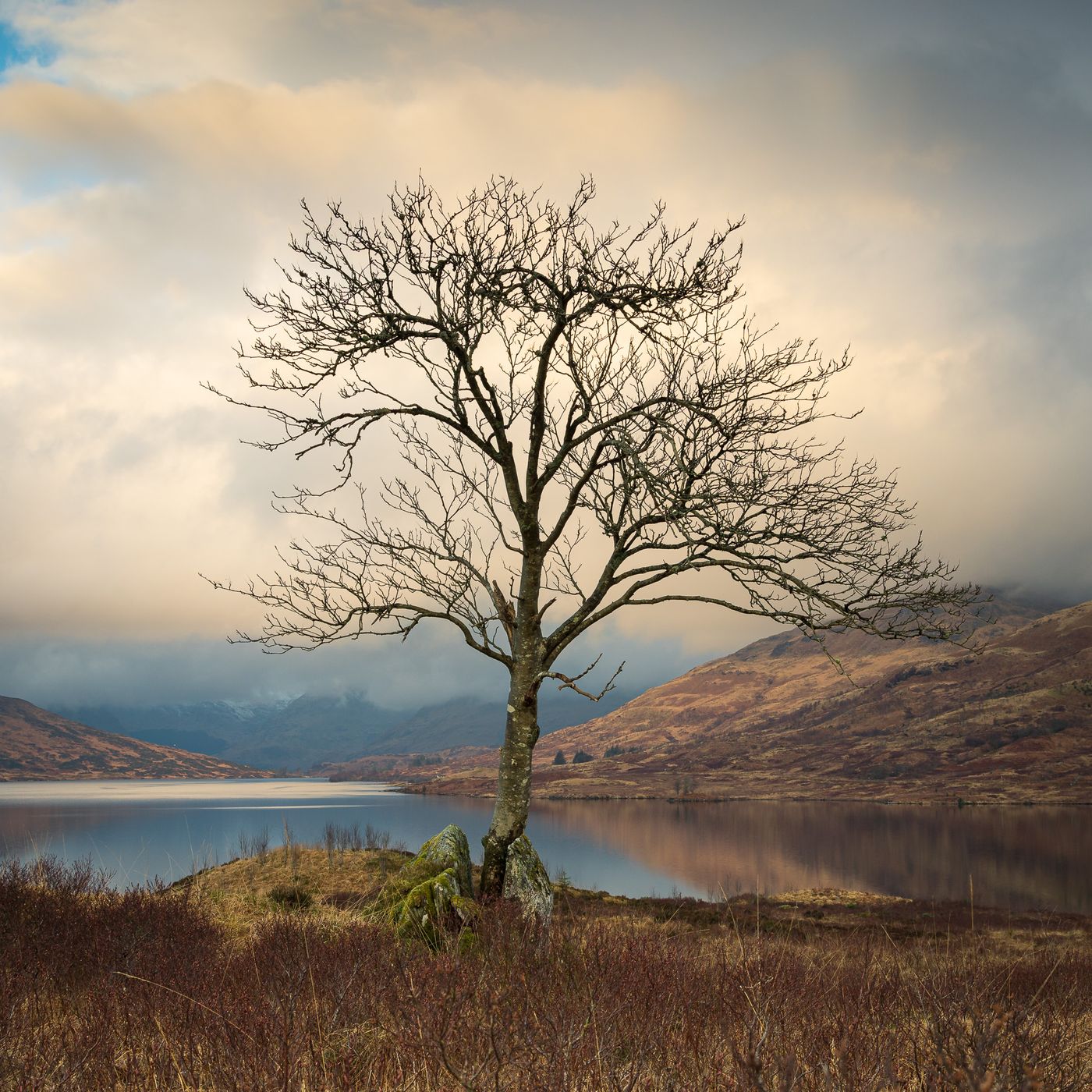 East end of Loch Arklet, United Kingdom