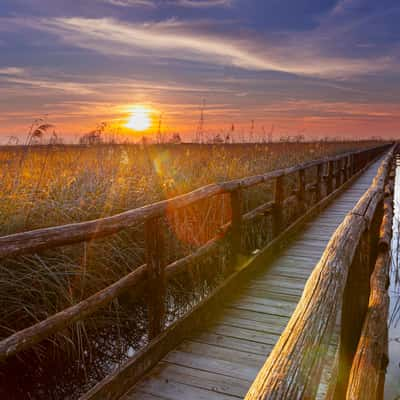 Massaciuccoli Lake, Italy