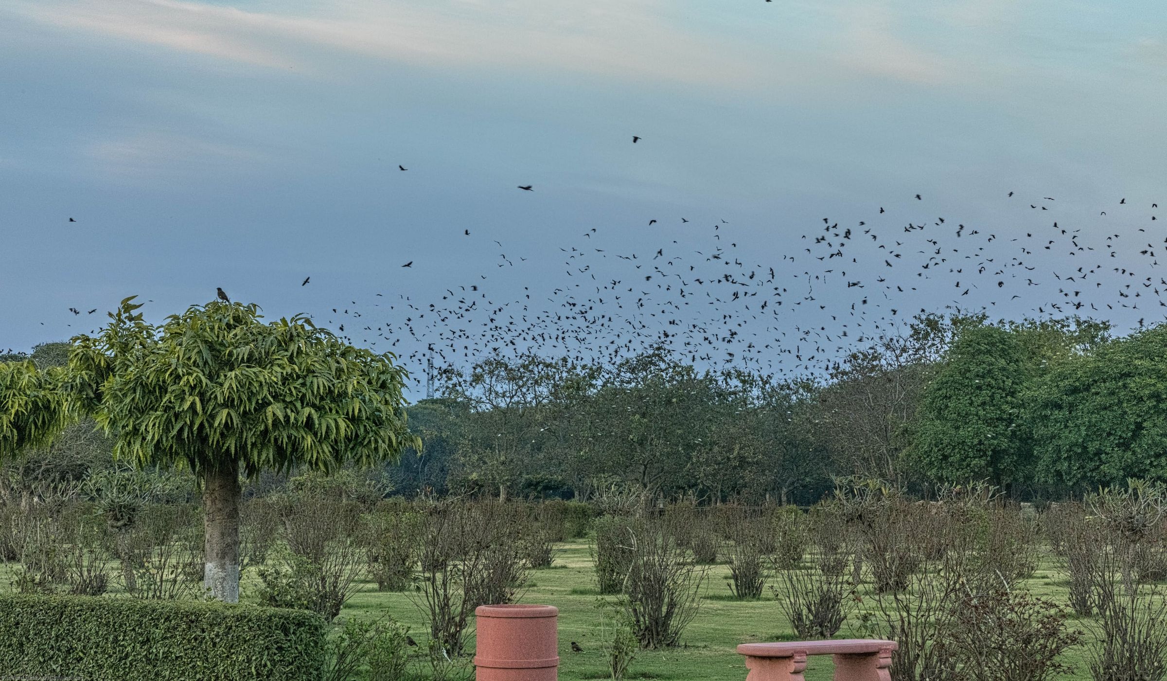Mehtab Bagh, India