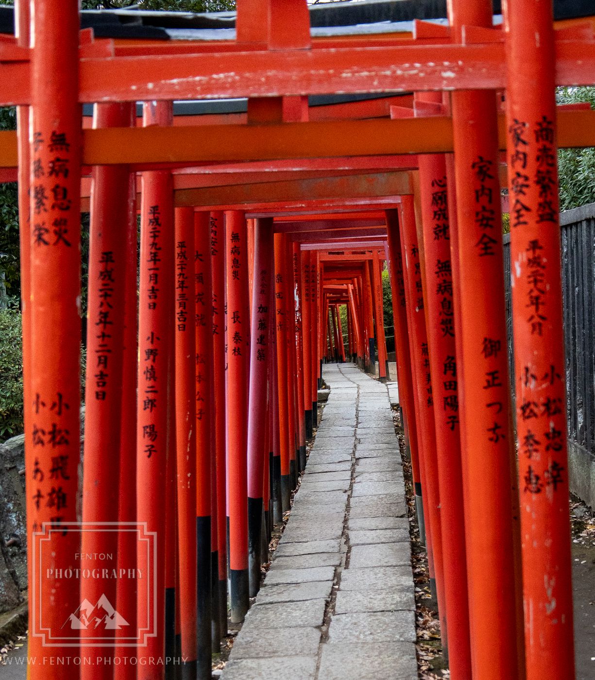Nezu Shrine, Japan
