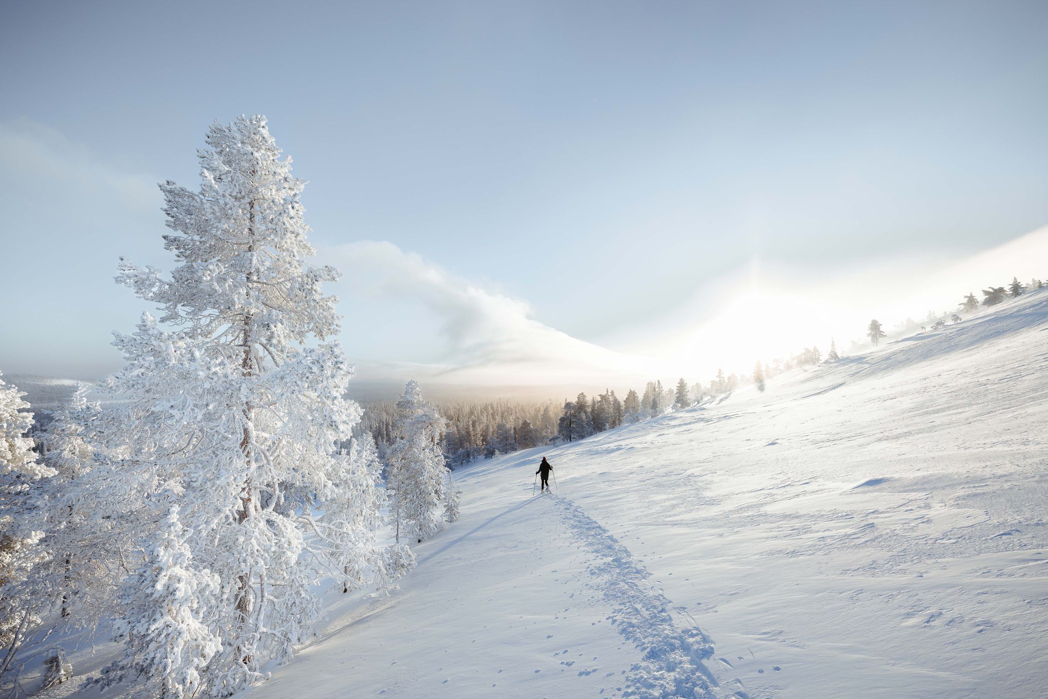 North site Ukko-Luosto, Central Lapland, Finland