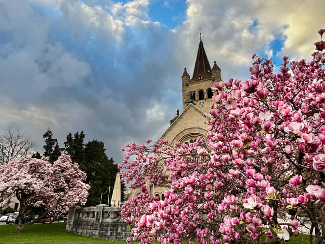 Paulus church