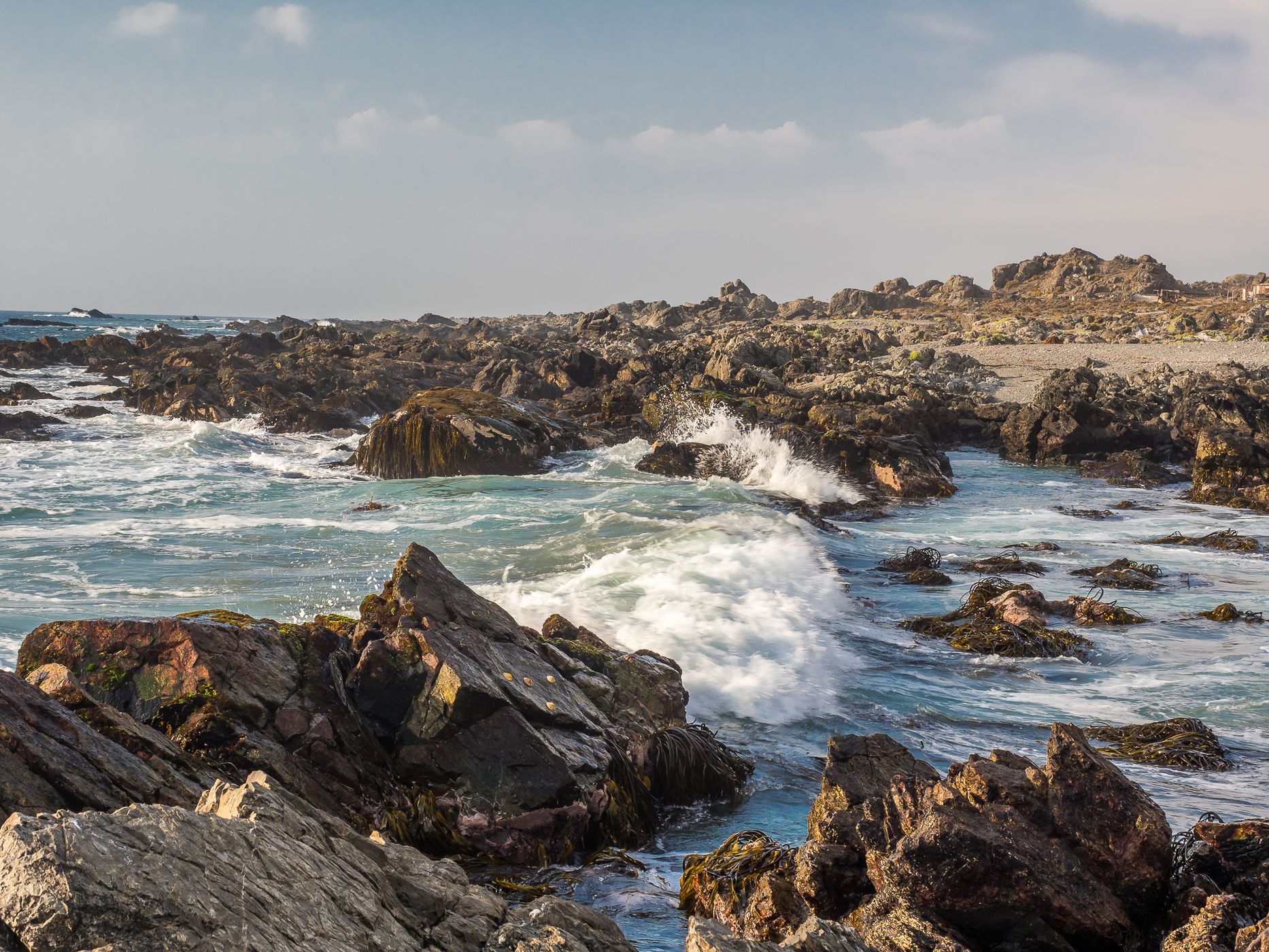 Punta de Lobos, Chile