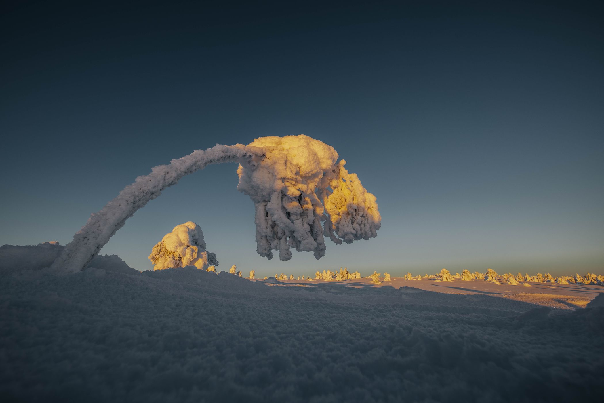 Pyhä-Luoston kansallispuisto, Central Lapland, Finland