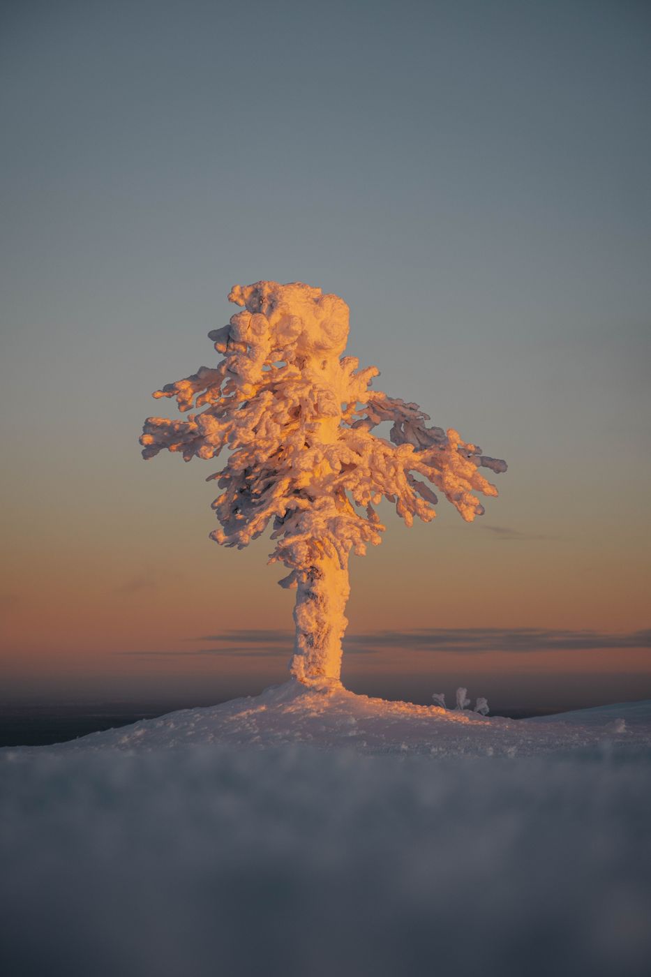 Pyhä-Luoston kansallispuisto, Central Lapland, Finland