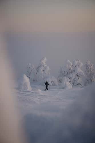 Pyhä-Luoston kansallispuisto, Central Lapland