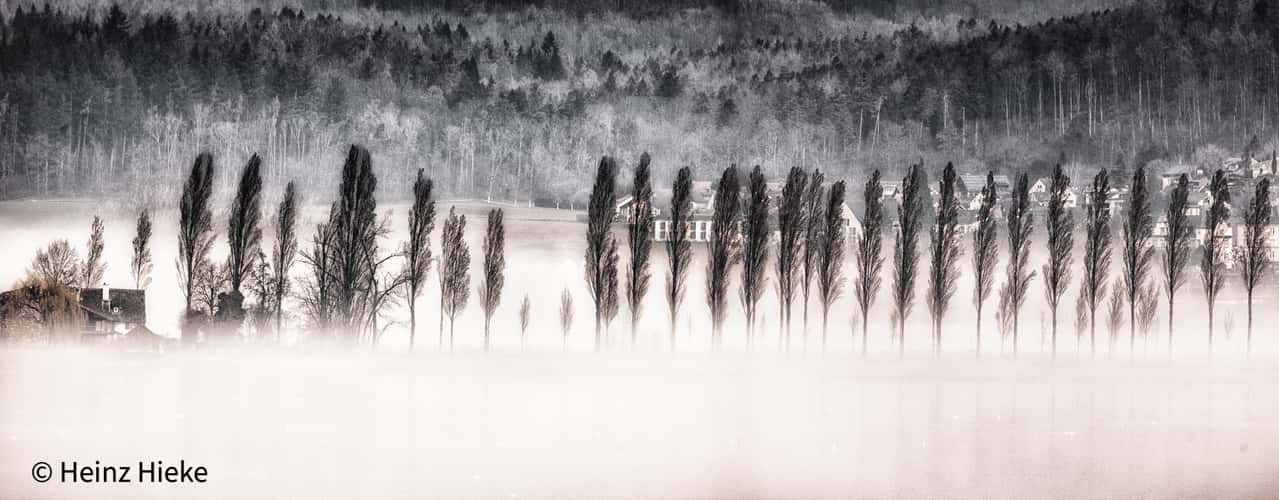 Reichenau