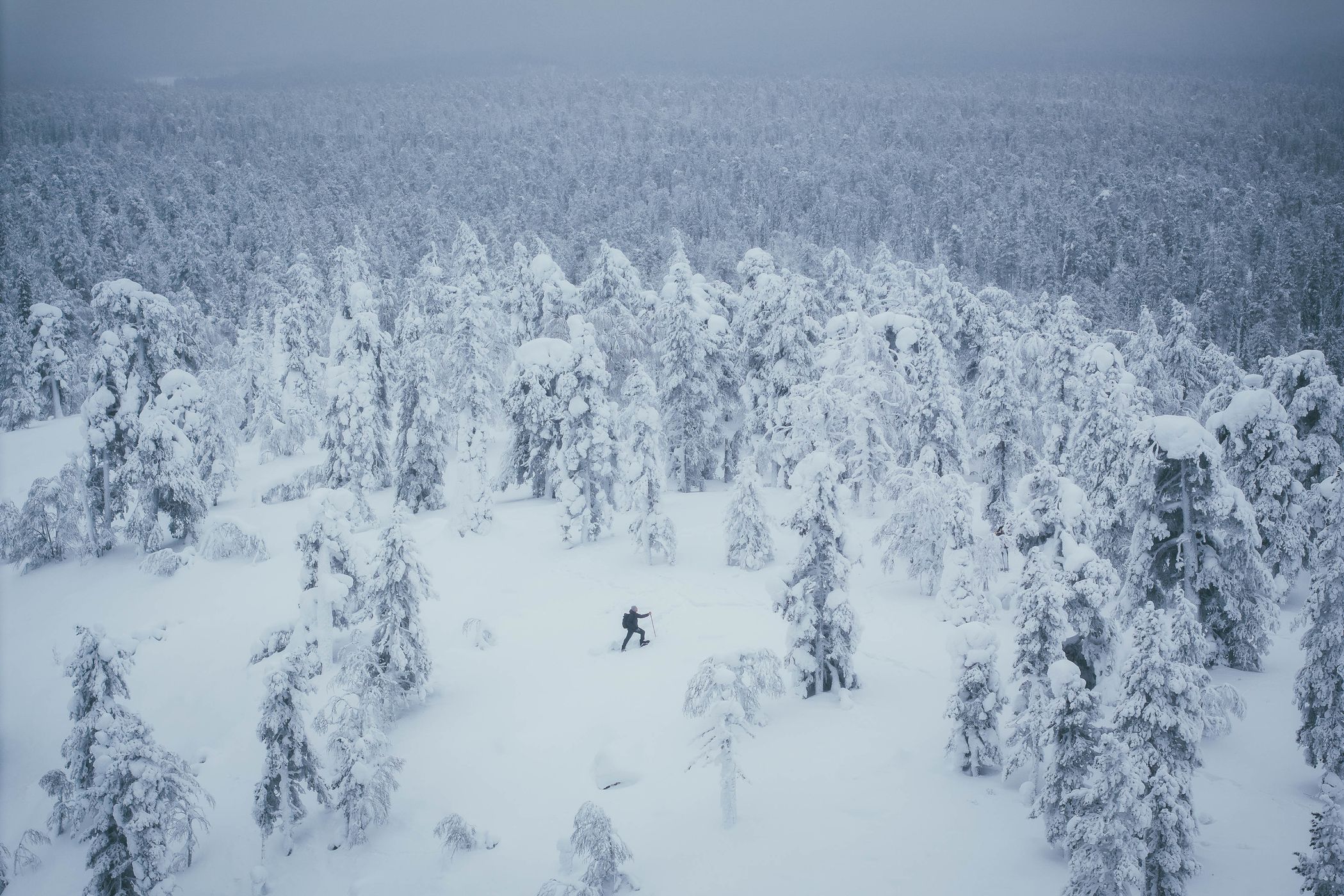 Rykimäkero, Pyhä-Luosto National Park, Finland