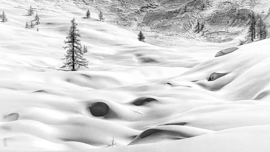 sleeping avalanche