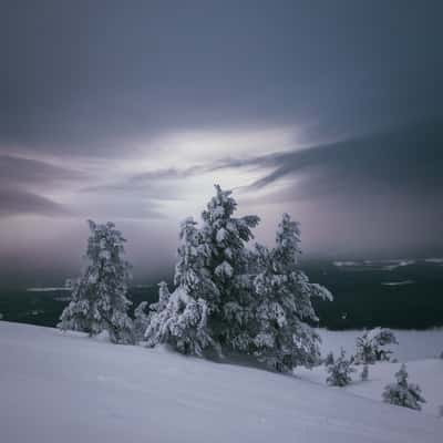 Soutaja-Tunturi, Pyhä-Luosto National Park, Finland