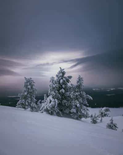 Soutaja-Tunturi, Pyhä-Luosto National Park