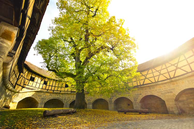 Spital Bastion | Fanghof, Rothenburg ob der Tauber