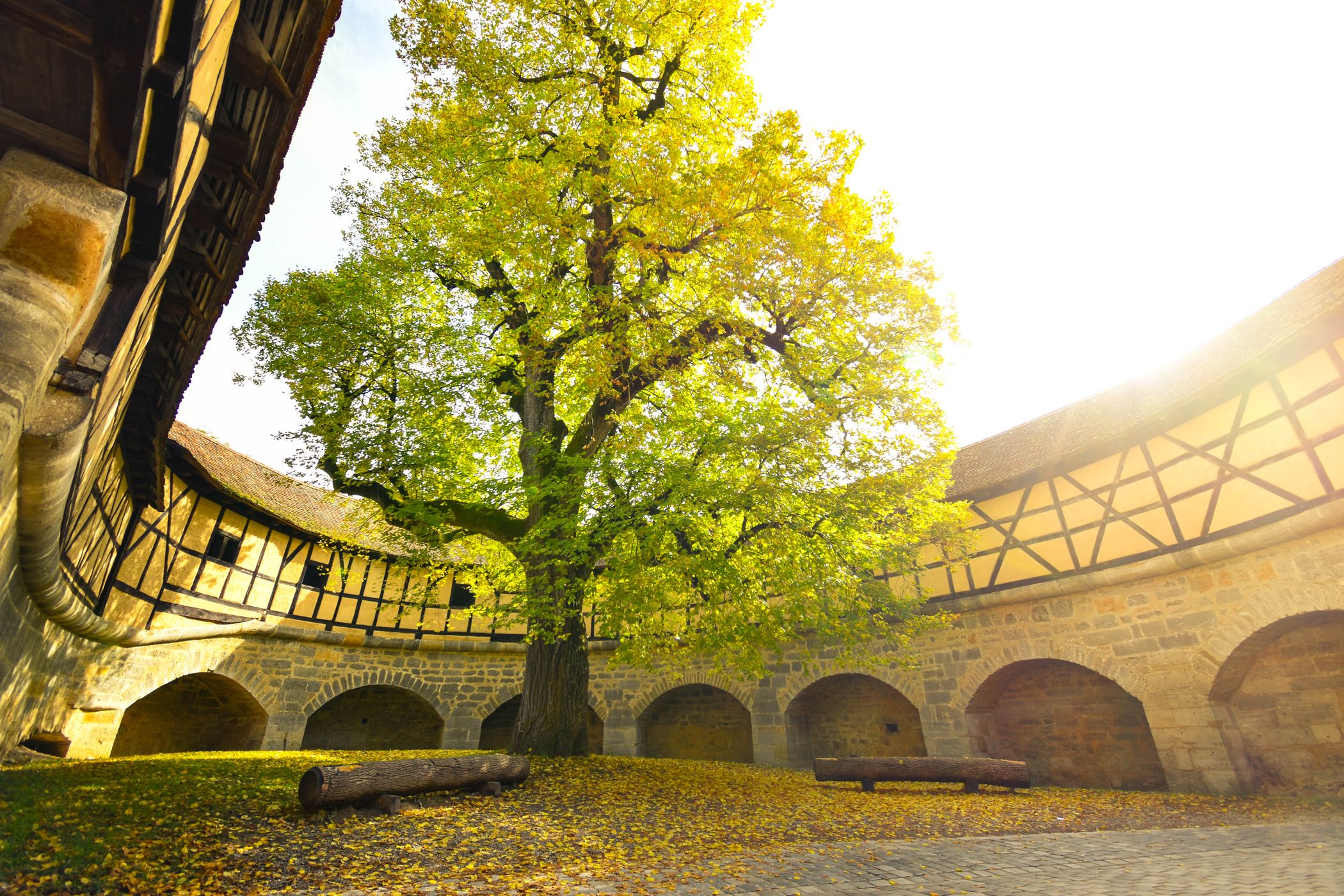 Spital Bastion | Fanghof, Rothenburg ob der Tauber, Germany