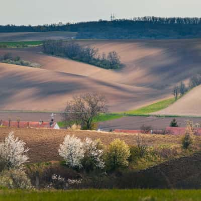 Spring meadows and blossoming trees, Czech Republic