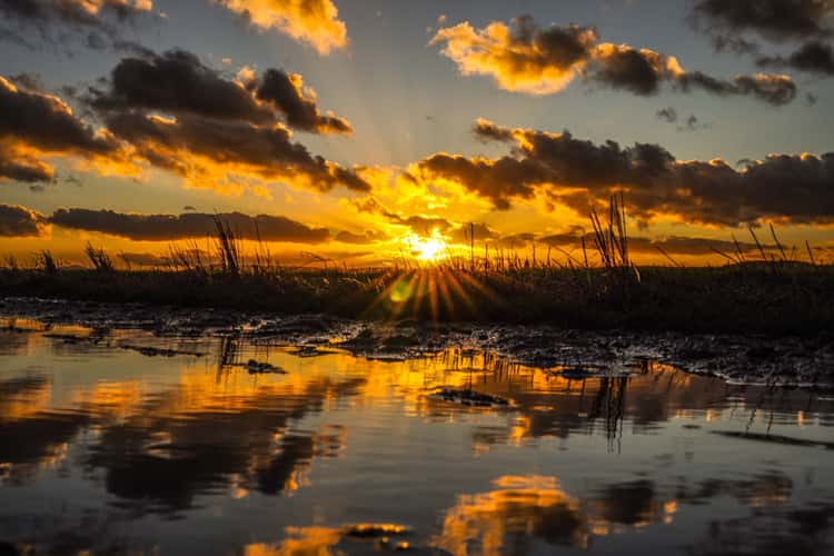 Sunset in spring