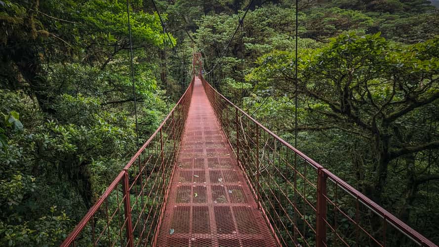 suspension bridge in Monte Verde National Park, Costa Rica