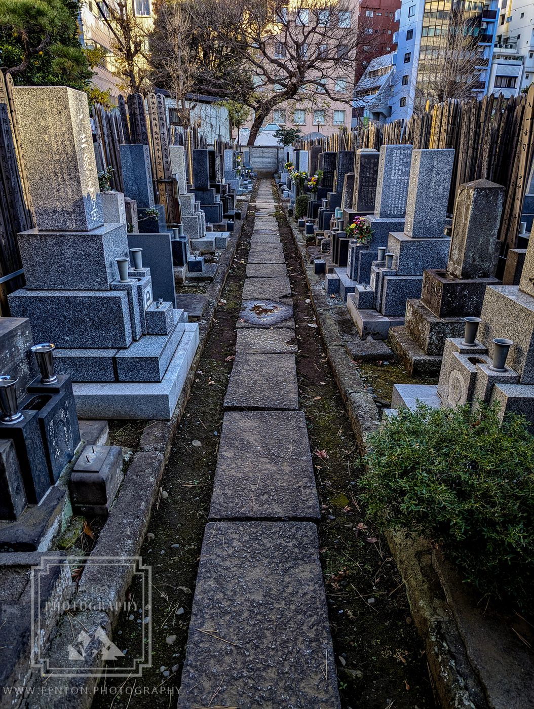 Taiso-ji Temple, Japan
