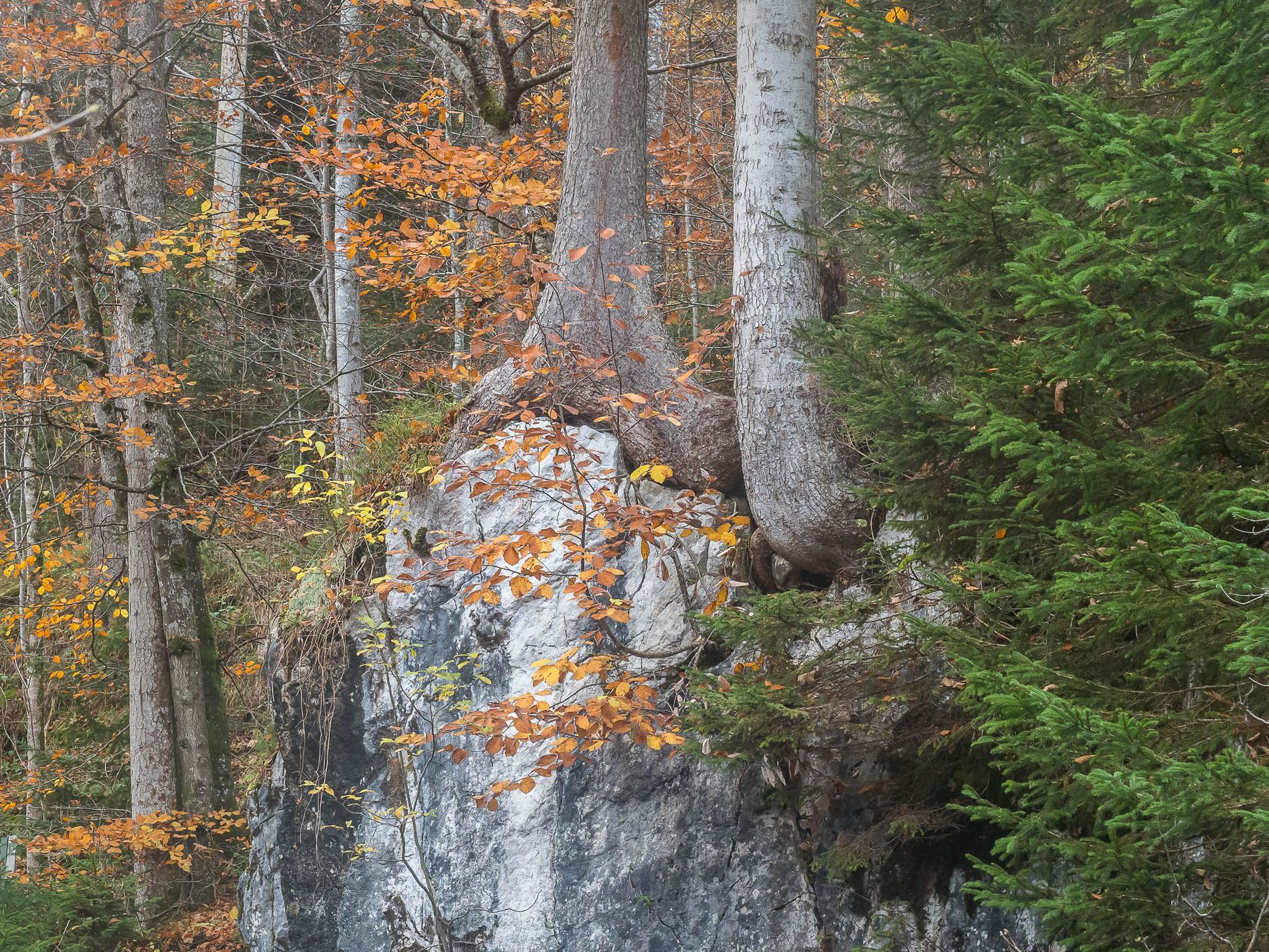 Tatzelwurm Waterfalls, Germany