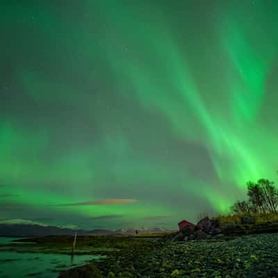 Telegrafbukta, Norway