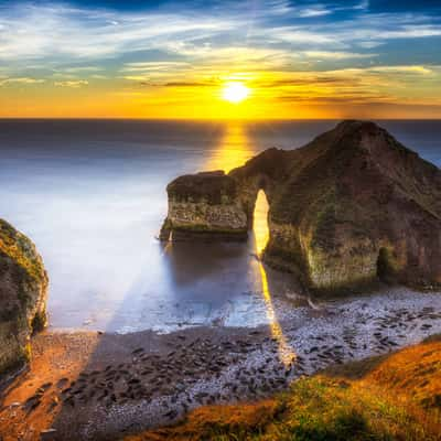 The Drinking Dinosaur, United Kingdom