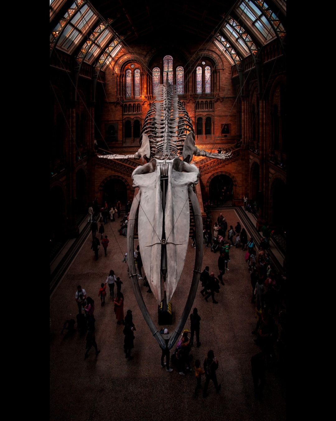 The Natural History Museum Lobby, London, United Kingdom