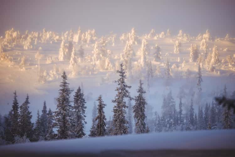 View to Ukko-Luosto from Santa Hotel Aurora