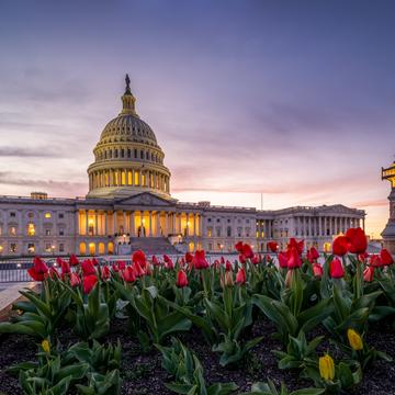 Washington DC - Capitol, USA