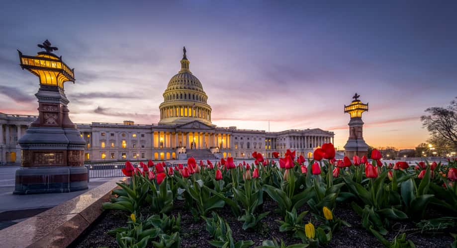 Washington DC - Capitol
