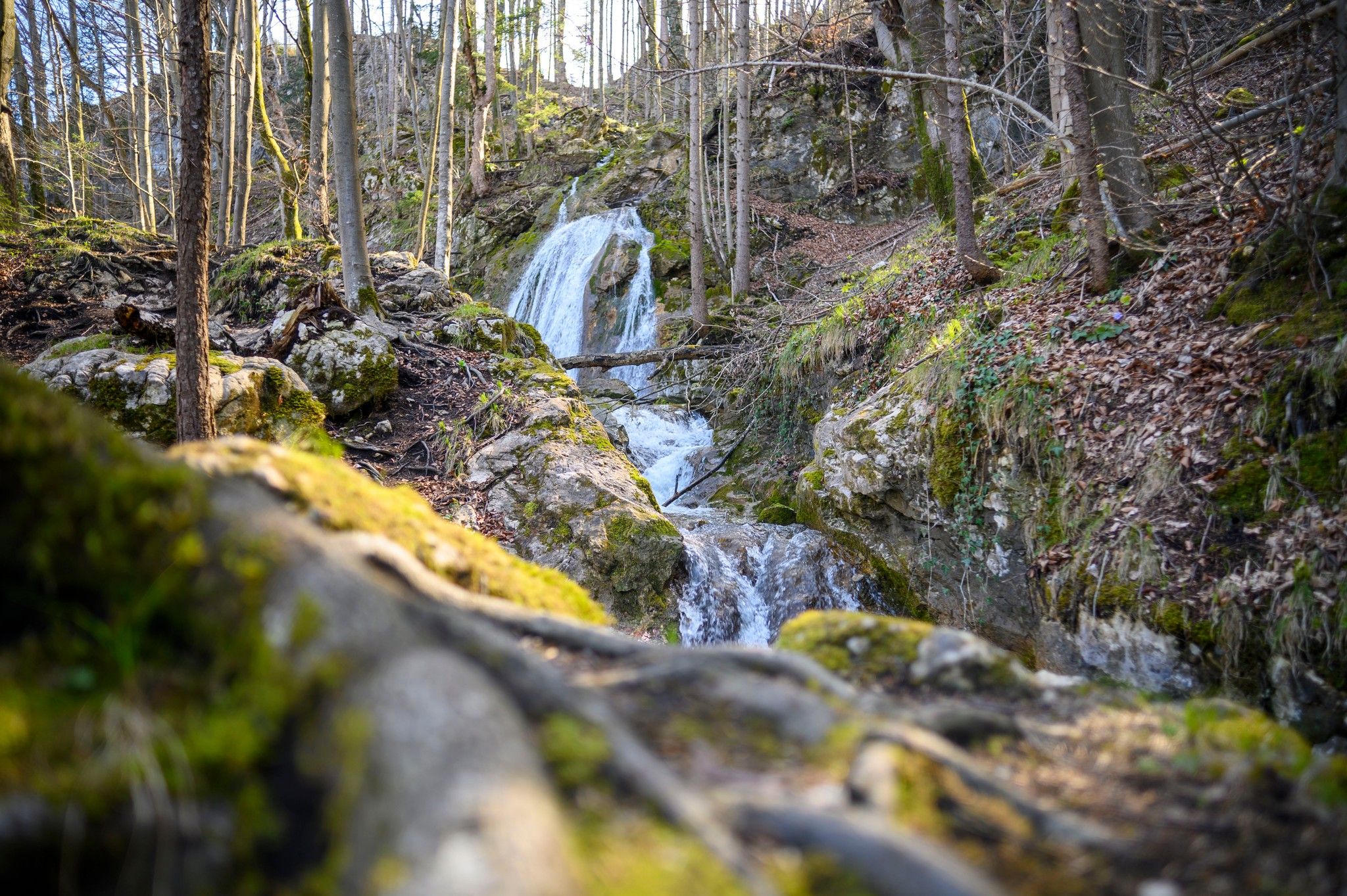 Wolfsschlucht, Philosophen-Wasserfälle, Germany