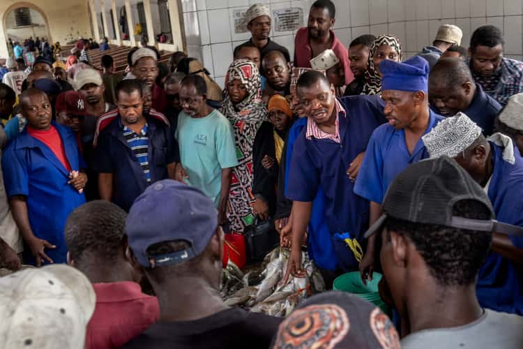 Zanzibar Stonetown Fish Market