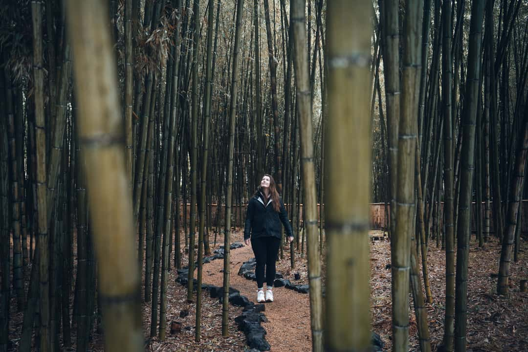 Get the exact geo-position for this spot: Bamboo Forest in Daikaku-ji Temple, Kyoto