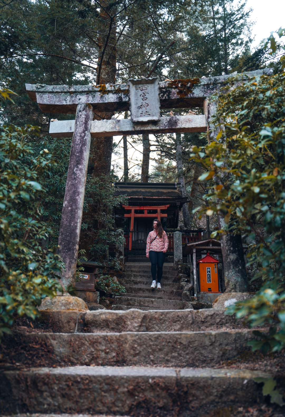 Get the exact geo-position for this spot: Shinomiya Shrine, Miyajima