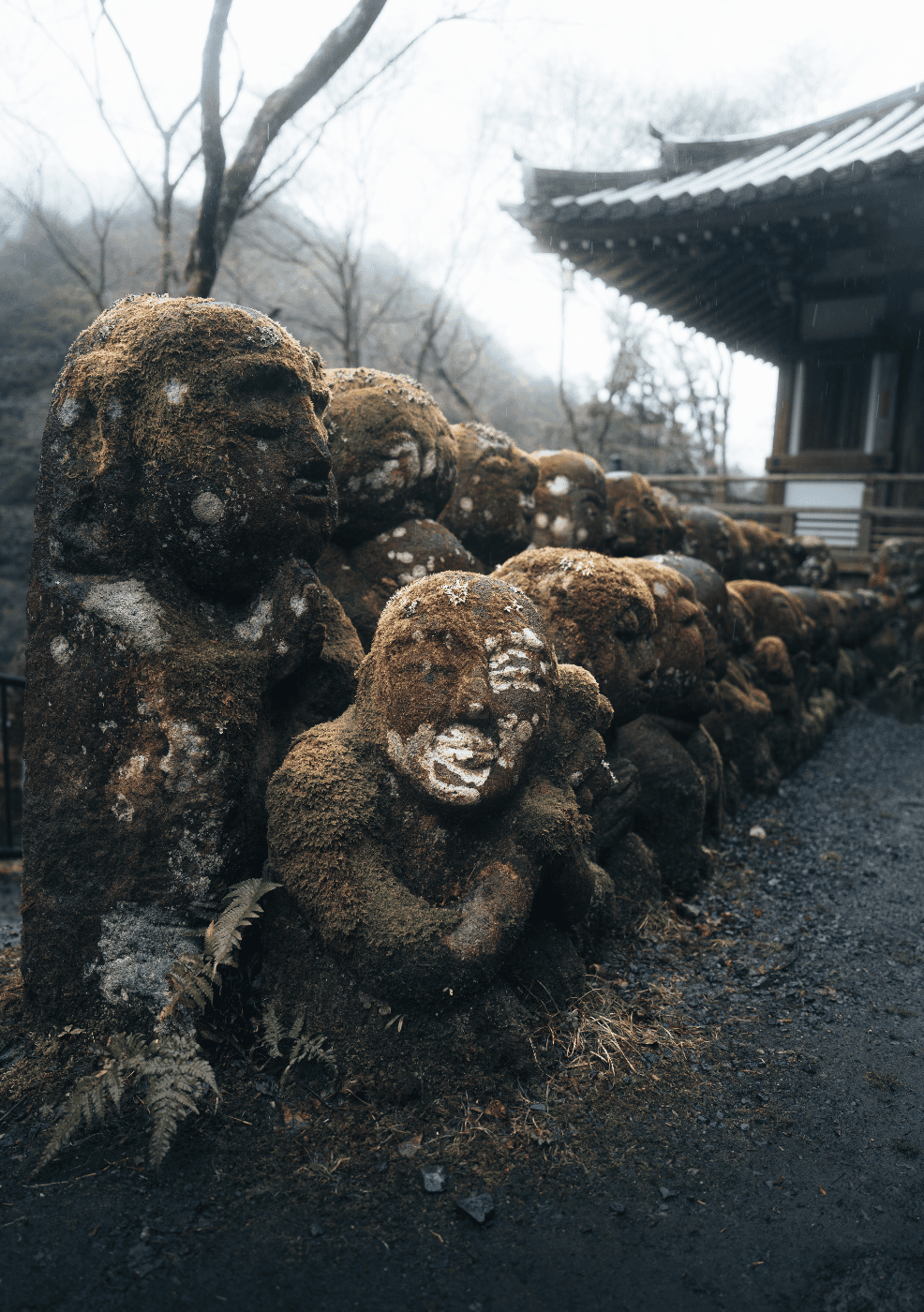 Get the exact geo-position for this spot: Otagi Nenbutsu-Ji Temple, Kyoto