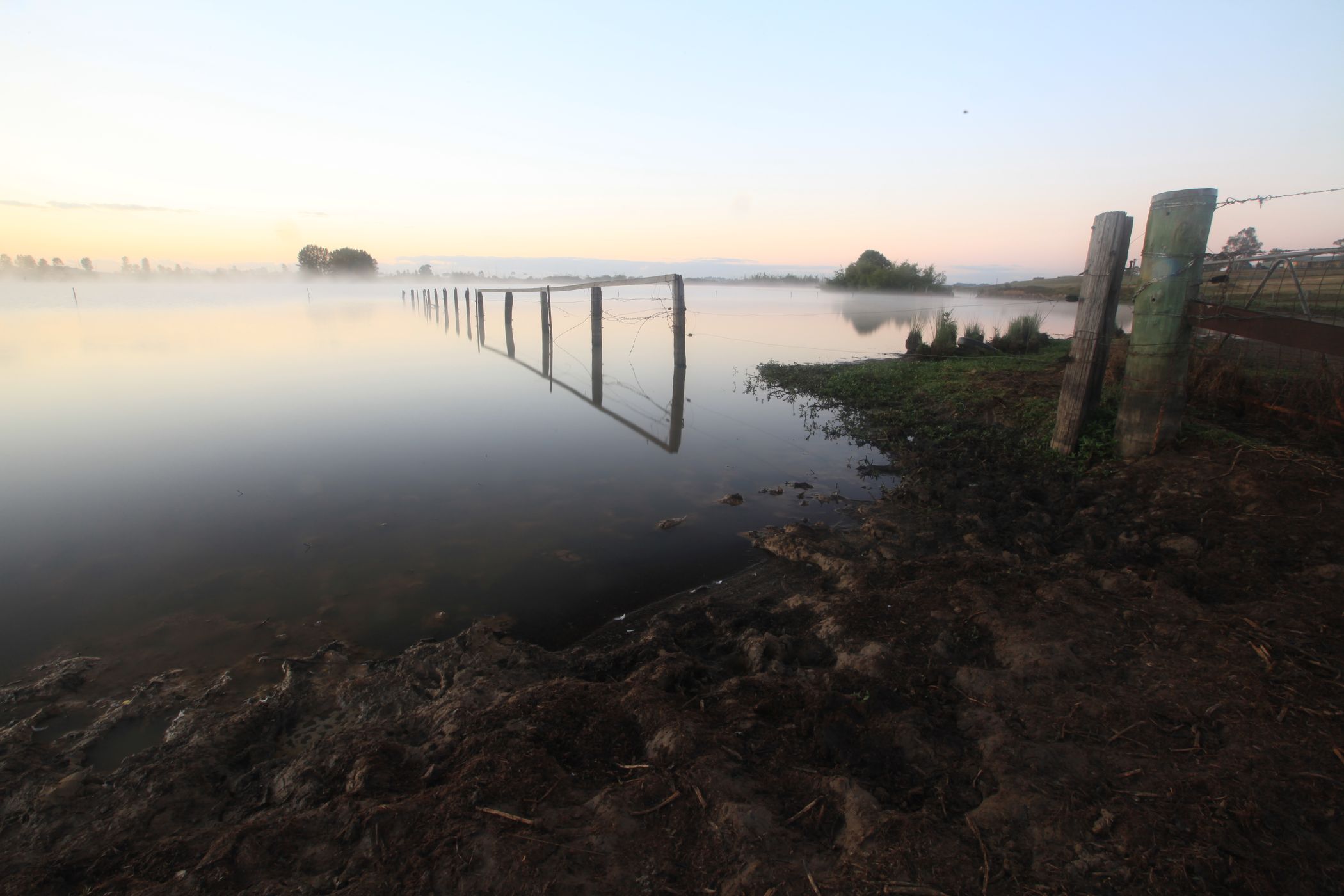 Bushels Lagoon Sunrise Freeman's Reach Sydney, Australia