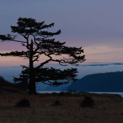 Cattle Point, USA