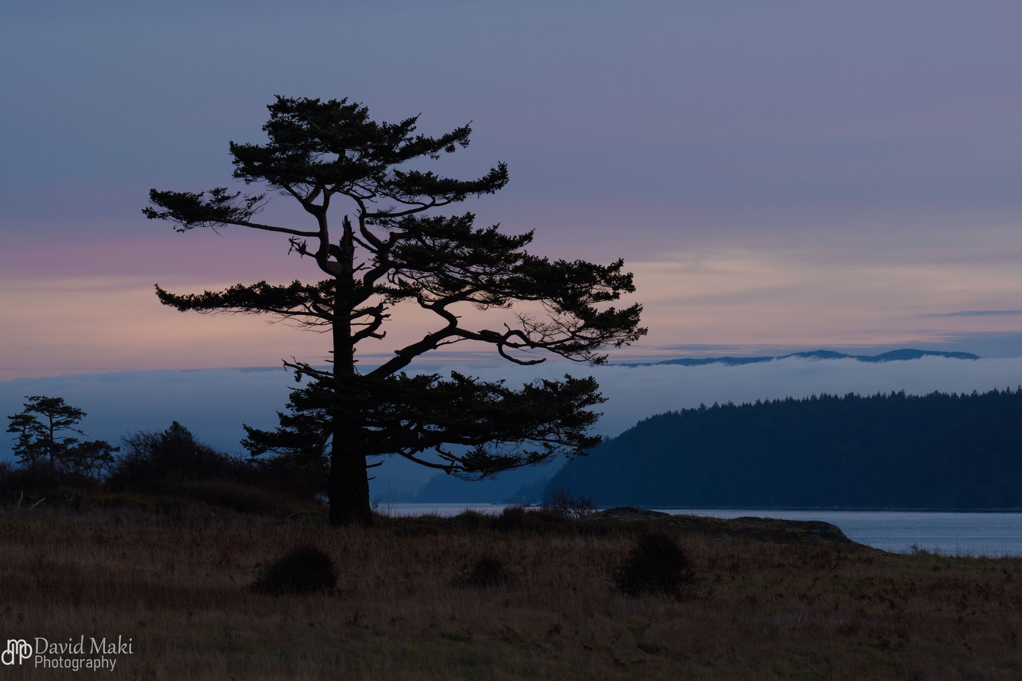 Cattle Point, USA