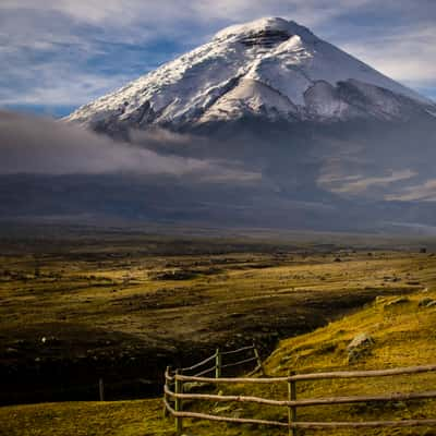 Cotopaxi from Tambopaxi Lodge, Ecuador