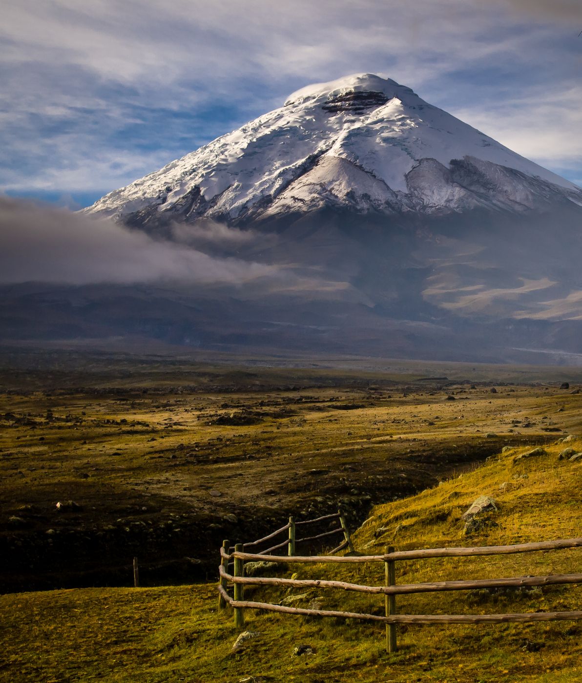 Cotopaxi from Tambopaxi Lodge, Ecuador