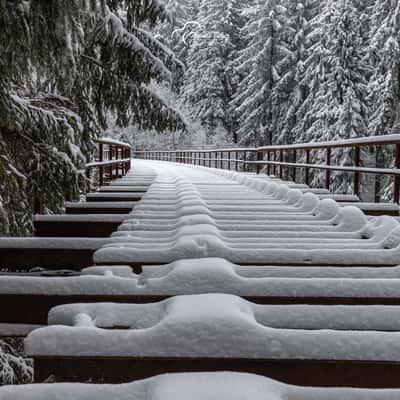 Fuchsbrunnbrücke, Germany