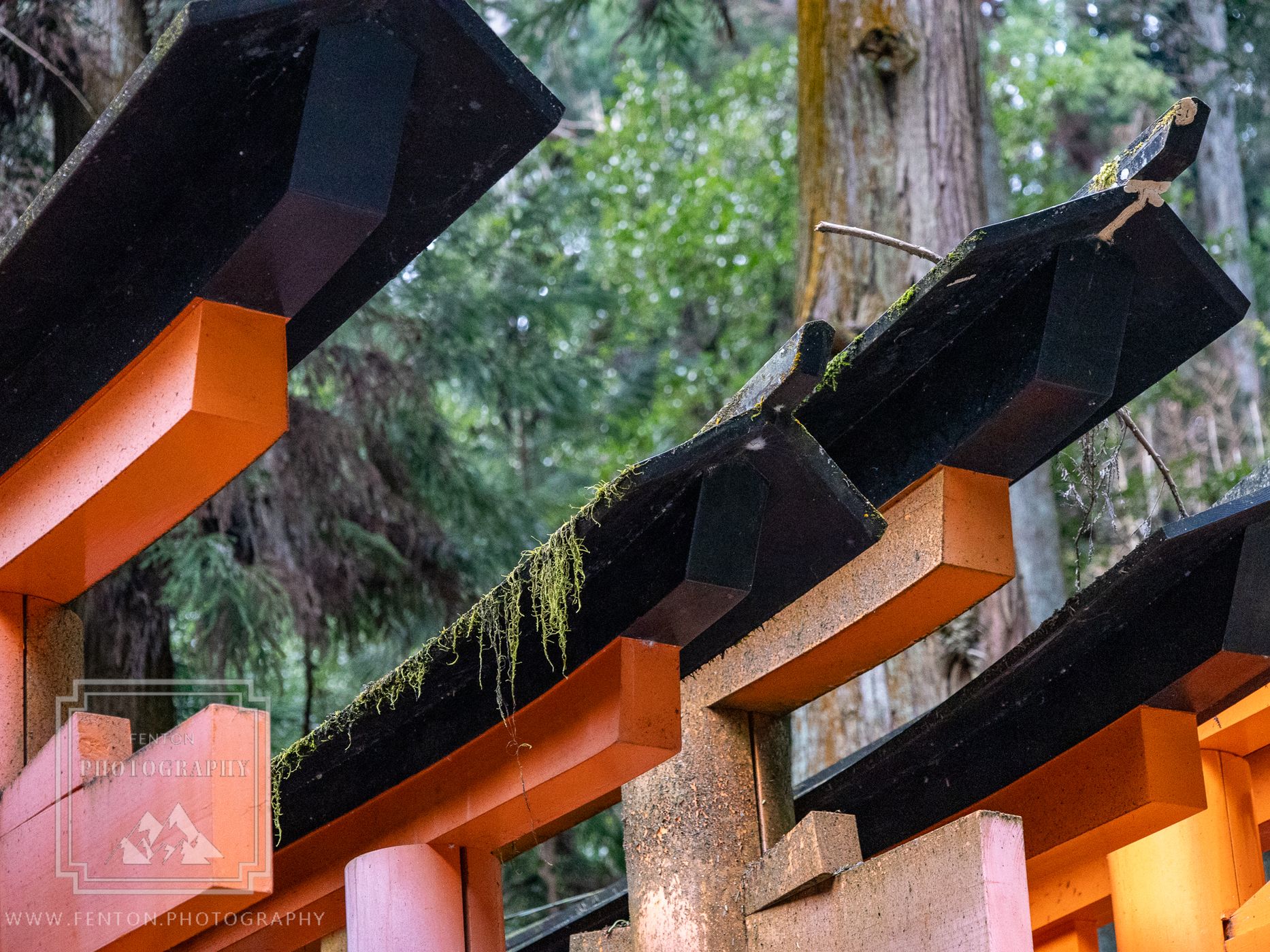 Fushimi Inari Shrine, Japan