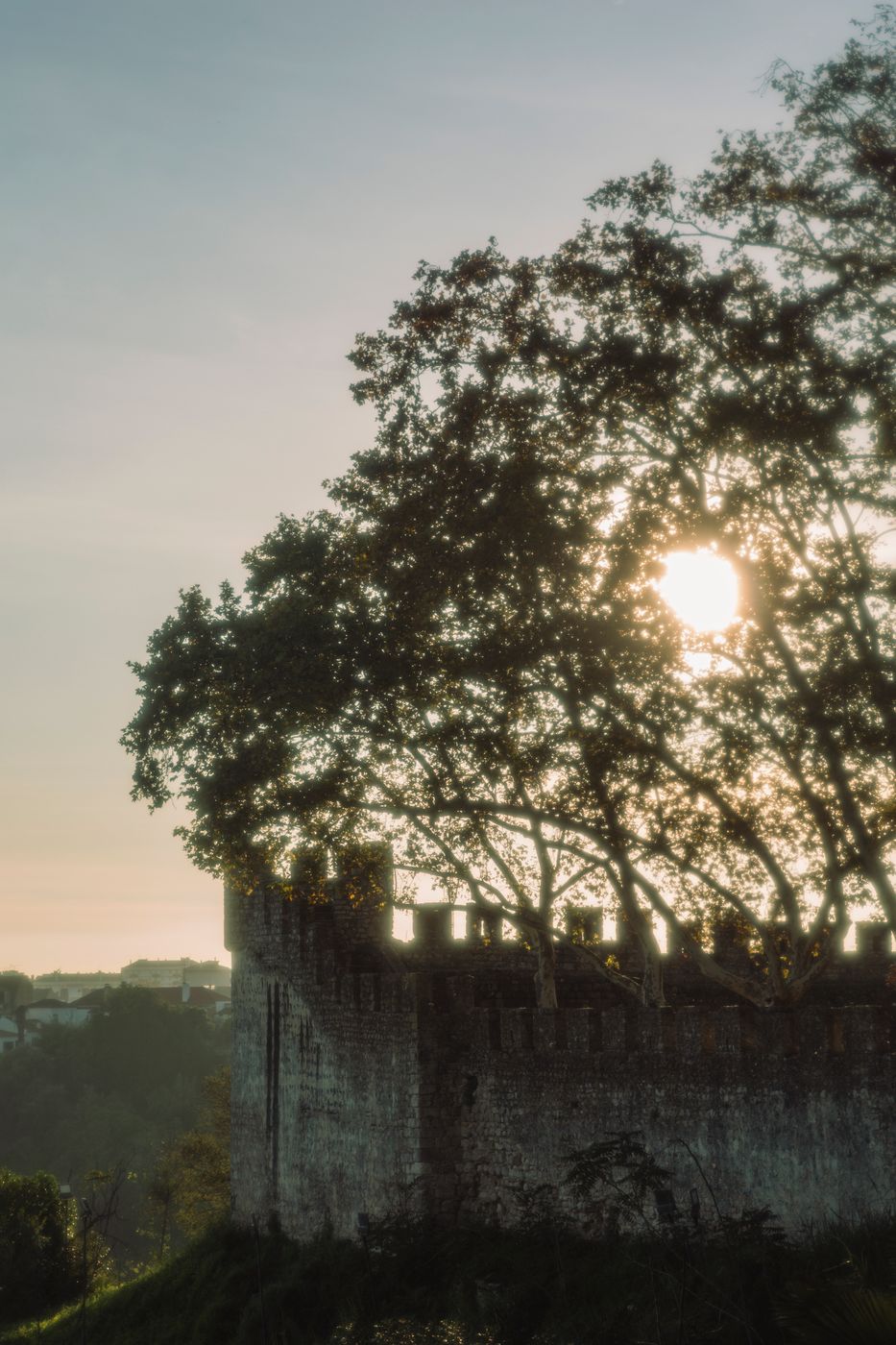 Jardim Portas do Sol, Portugal