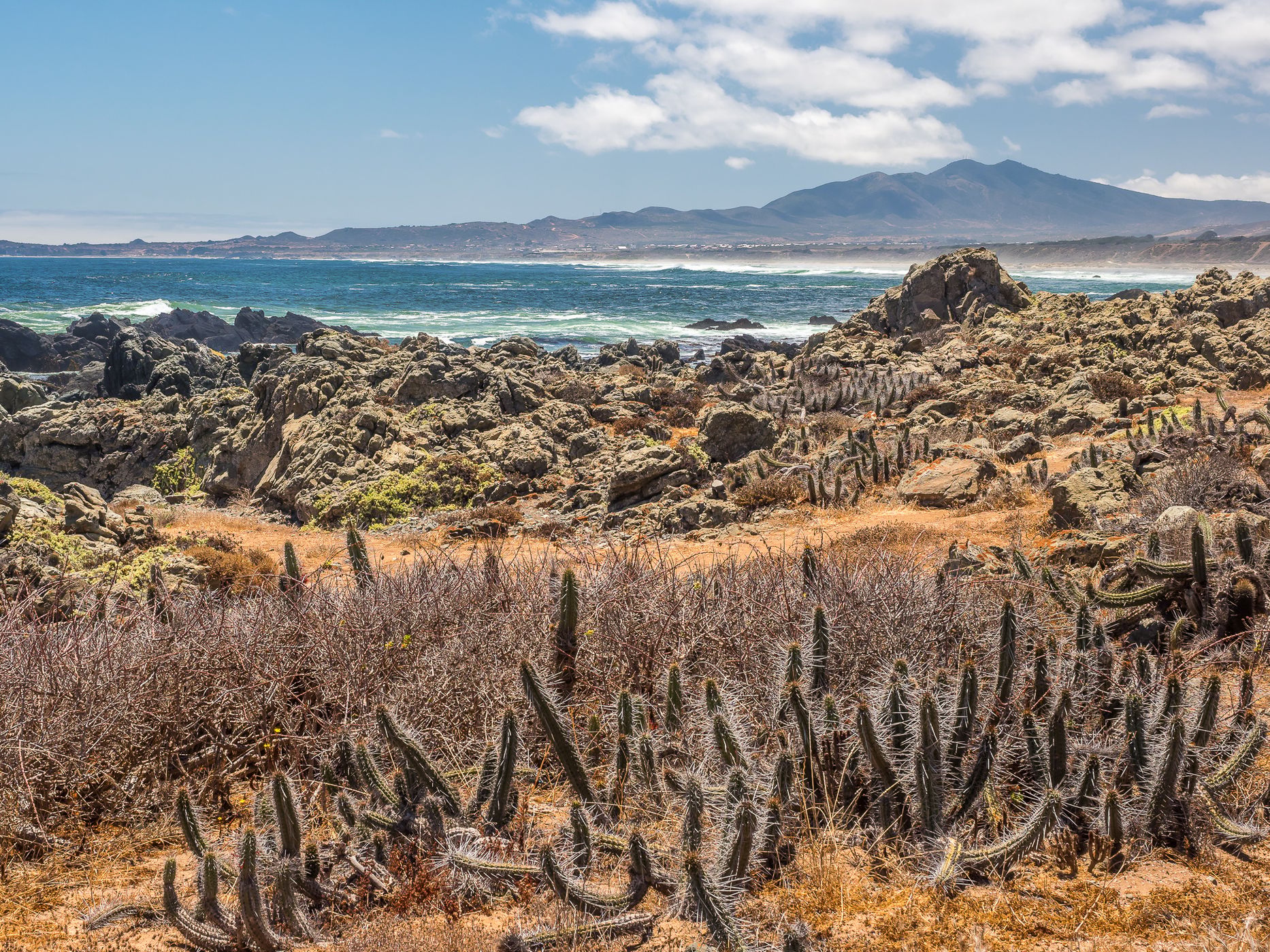 Los Quinquelles Beaches, Chile