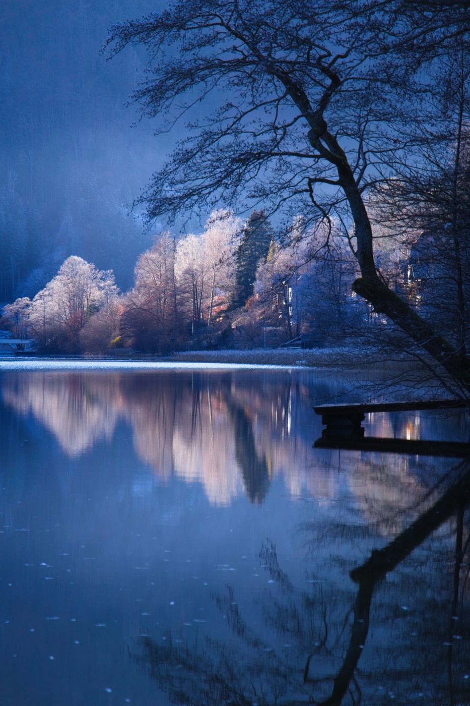 Lunzer See, Austria