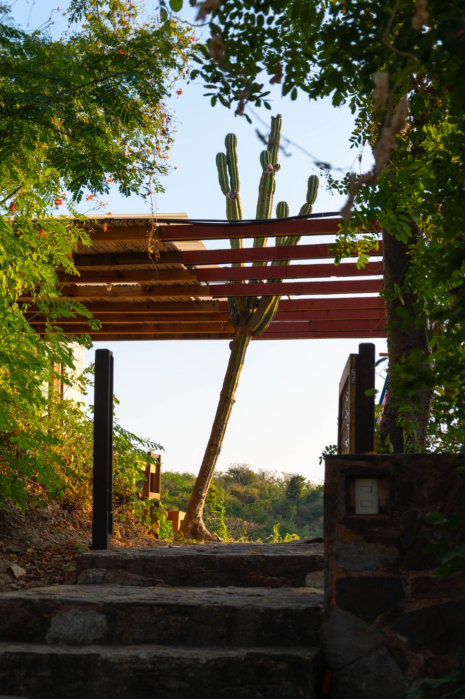Mermejita - Casa Mermejita Hotel, Mexico