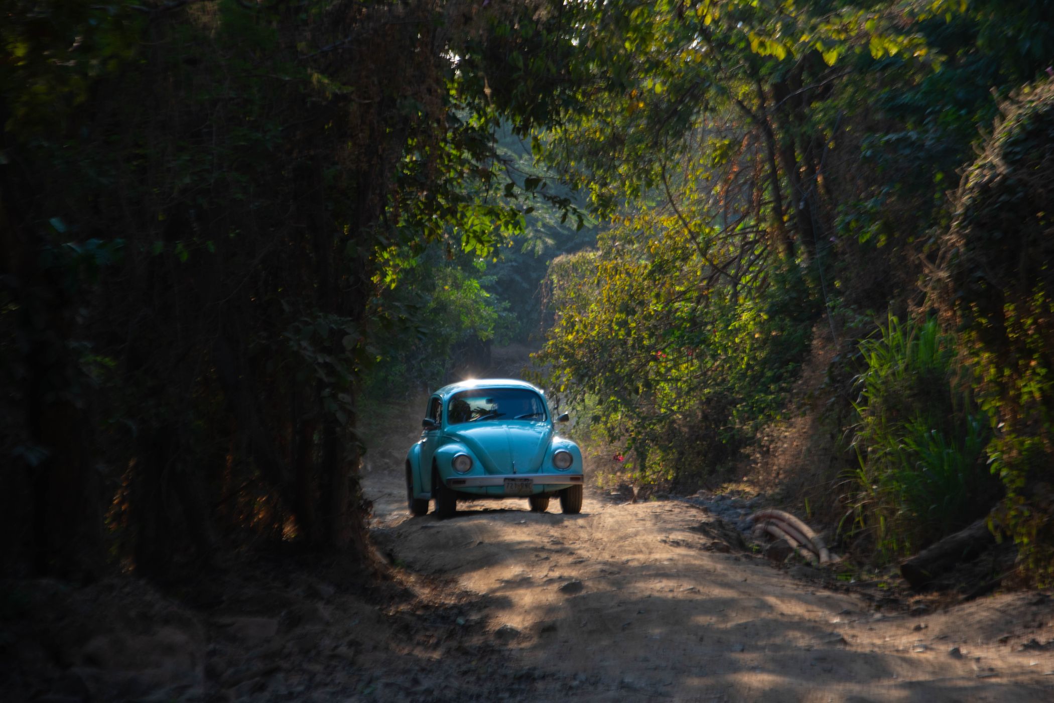 Mermejita, Mexico